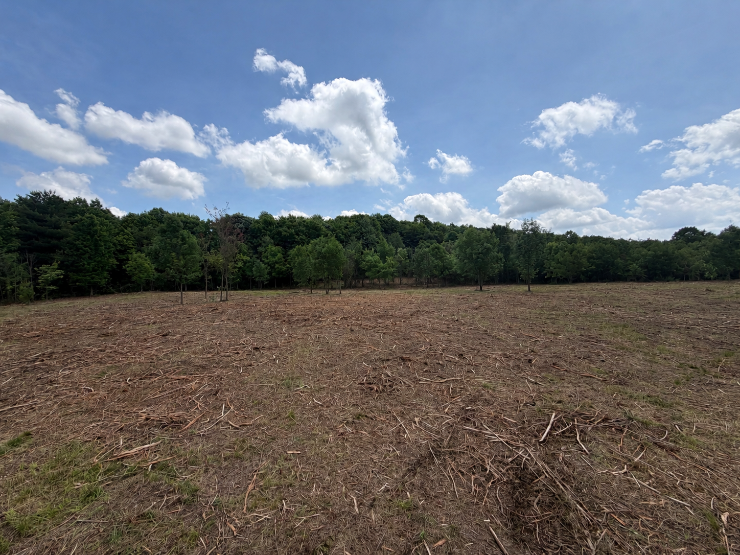 Land clearing project in Indiana — after